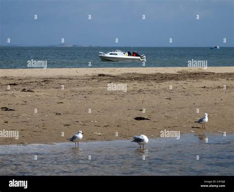 studland beach dorset Stock Photo - Alamy