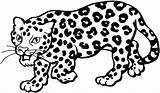 Leopard Coloring Pages  Home sketch template