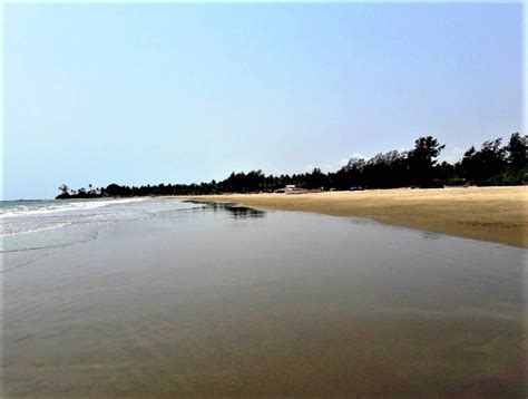 Morjim Beach Goa, Things to do, Adventure Activities & Photos