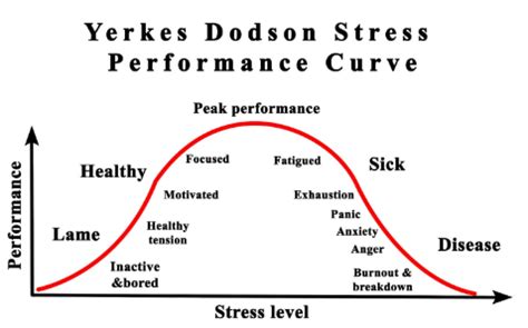 Yerkes-Dodson Law Taught Me How to Control Stress