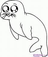 Baby Seal Coloring Pages  Home sketch template