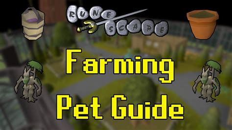 Old School RuneScape Farming Pet Guide (Fastest/Cheapest) - YouTube