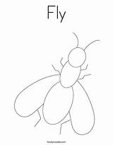 Fly Coloring Page  Twisty Noodle sketch template