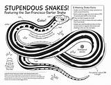 Endangered San Francisco Garter Snake Coloring Activity sketch template