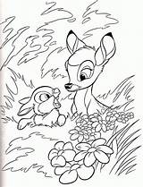 Disney Bambi Flower Coloring Pages sketch template