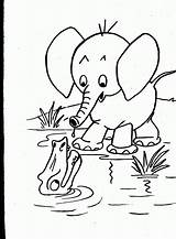 Wild Animals Coloring Pages  Home sketch template