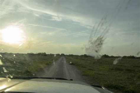 FALFURRIAS, TX : The Beginning of the Border - Kevin C Downs Photography