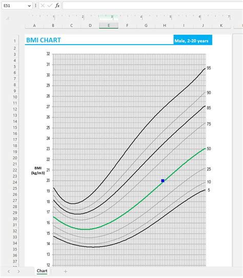 BMI Chart Boys 2-20 Years in Excel Spreadsheet or Google Doc - Etsy