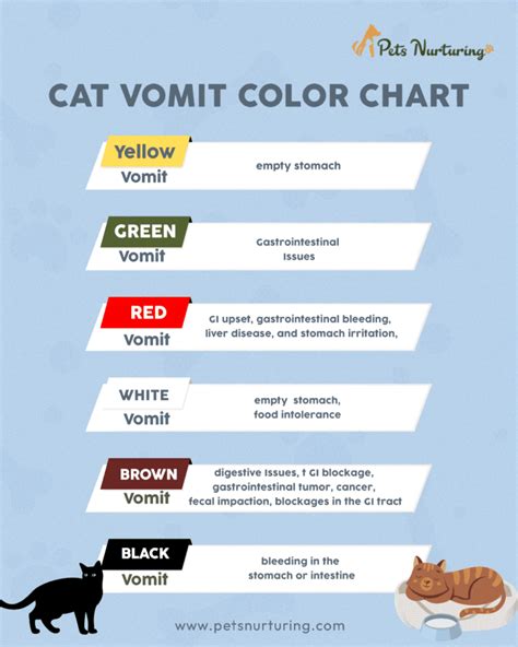 Cat Vomit Color Chart: What Does Each Color Mean