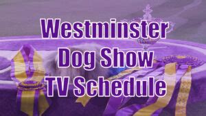 Westminster Dog Show 2023 Full TV Schedule - Dog Show TV