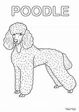 Poodle Coloring Pages Free Printable PDFs  WakeTheKids sketch template