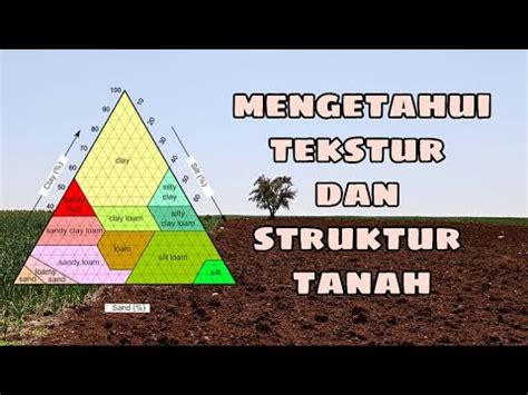 MEMAHAMI TEKSTUR DAN STRUKTUR TANAH TUGAS KESUBURAN TANAH - YouTube