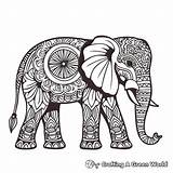 Tribal Elephant Coloring Pages  Free & Printable sketch template
