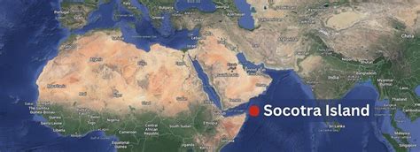 Travel To Socotra Island Guide Best Of 2024 » Socotra Yemen