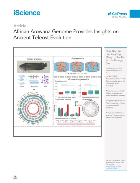 (PDF) African Arowana Genome Provides Insights on Ancient Teleost Evolution