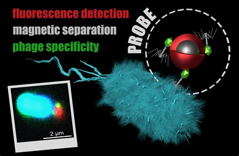 New publication in Bioconjugate Chemistry – Surface Nanoengineering Group