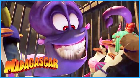 DreamWorks Madagascar | Dave's Evil Plan | Penguins of Madagascar | Kids Movies - YouTube