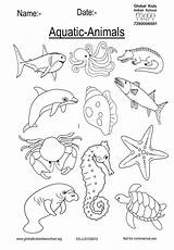 Coloring animals Live In water Worksheet – Artofit sketch template