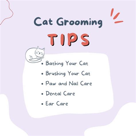 Cat Grooming Made Easy