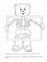 X Ray Coloring Pages  Kidsuki sketch template