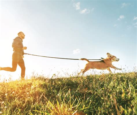 The Benefits of Regular Exercise for Your Pet’s Health and Happiness