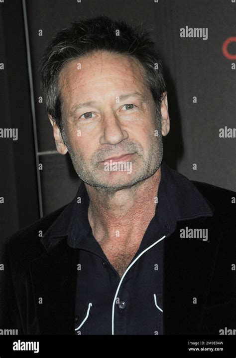 Los Angeles, CA. 17th Jan, 2023. David Duchovny at arrivals for YOU ...