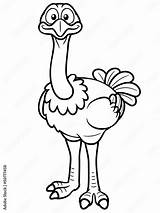 Coloring Pages Ostrich At Viiaidanblog Blog sketch template