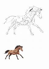 Free Horse Templates To Edit Online sketch template