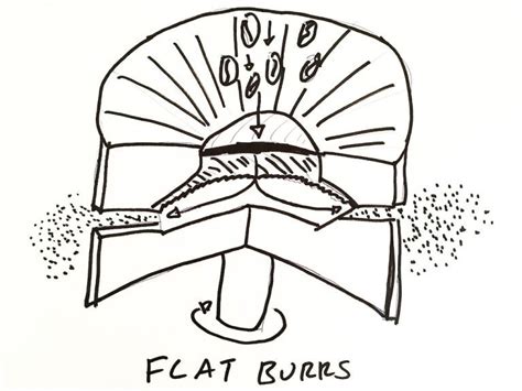Flat burr coffee grinder diagram - how it works! Home Espresso Machine, Espresso Machines, Best ...