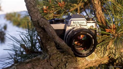 Nikon FE - Camera Review - Casual Photophile