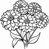 Zinnia Flower Outline Illustration coloring Book page Design  sketch template