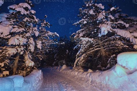 winter night landscape nature forest 10702460 Stock Photo at Vecteezy