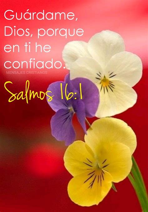 Salmos 16:1 #salmos #hoy #2020 #julio #julio2020 #bendiciones # ...