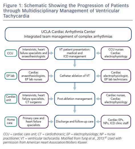 Schematic Showing the Progression of Patients through Multidisciplinary ...