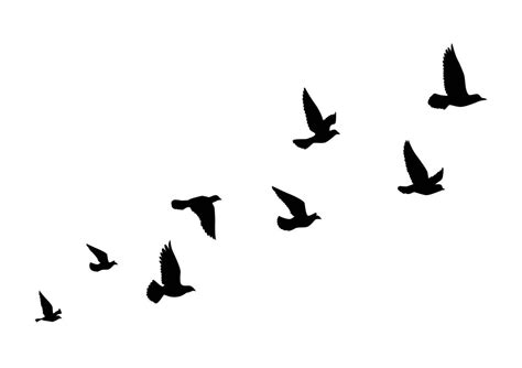 Download flying birds silhouettes on white background vector ...