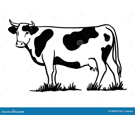 Breeding Cattle. Silhouette of a Grazing Cow Stock Vector - Illustration of domestic, pose ...