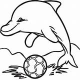 Dolphins coloring pages For Book 36288258 Vector Art At Vecteezy sketch template