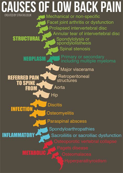 Week 5 – Causes of Low Back Pain - Strata5 @Nrtaylor101 #Diagnosis ... | GrepMed