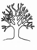 Bare Tree Coloring Page At GetColoringscom  Free Printable Colorings sketch template