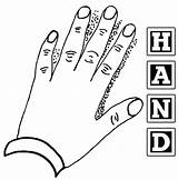 Hand Coloring Page sketch template