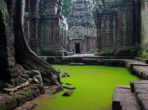 Temples in the Rainforest at Sunrise: A Cambodian Bucket List | Places to see, Places around the ...
