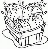 Strawberry Plant Coloring Page Free Printable Pages sketch template