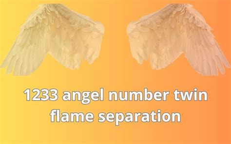 1233 Angel Number Twin Flame Separation - The Argus Image