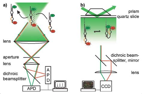 Outline of single-molecule FRET microscopy systems. (a) Confocal... | Download Scientific Diagram