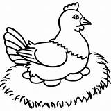 Chicken Coloring Pages  Learny Kids sketch template