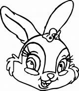 Thumper Thumpers Sisters And Miss Bunny Face Coloring Pages  sketch template