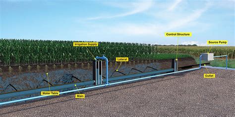 Subsurface Irrigation - The Water Table