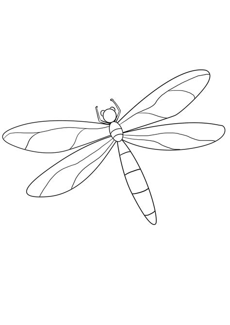 How To Draw A Dragonfly Easy Drawing Art | Images and Photos finder