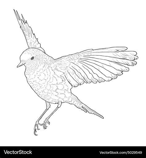 Soaring bird with spread wings hand drawn Vector Image