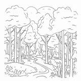 Woodland Coloring Pages sketch template
